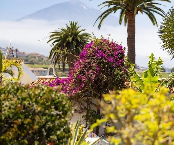 Apartman Home2book Amazing La Palmita *